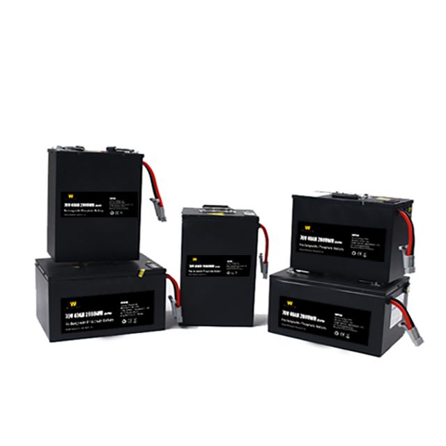Litio negro Ion Motorcycle Battery With Bms de Lifepo4 72V40Ah 1