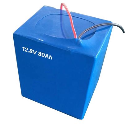 Coche de encargo de Ion Battery Packs For Electric del litio del SGS 36V 48V 60V 72V 20Ah